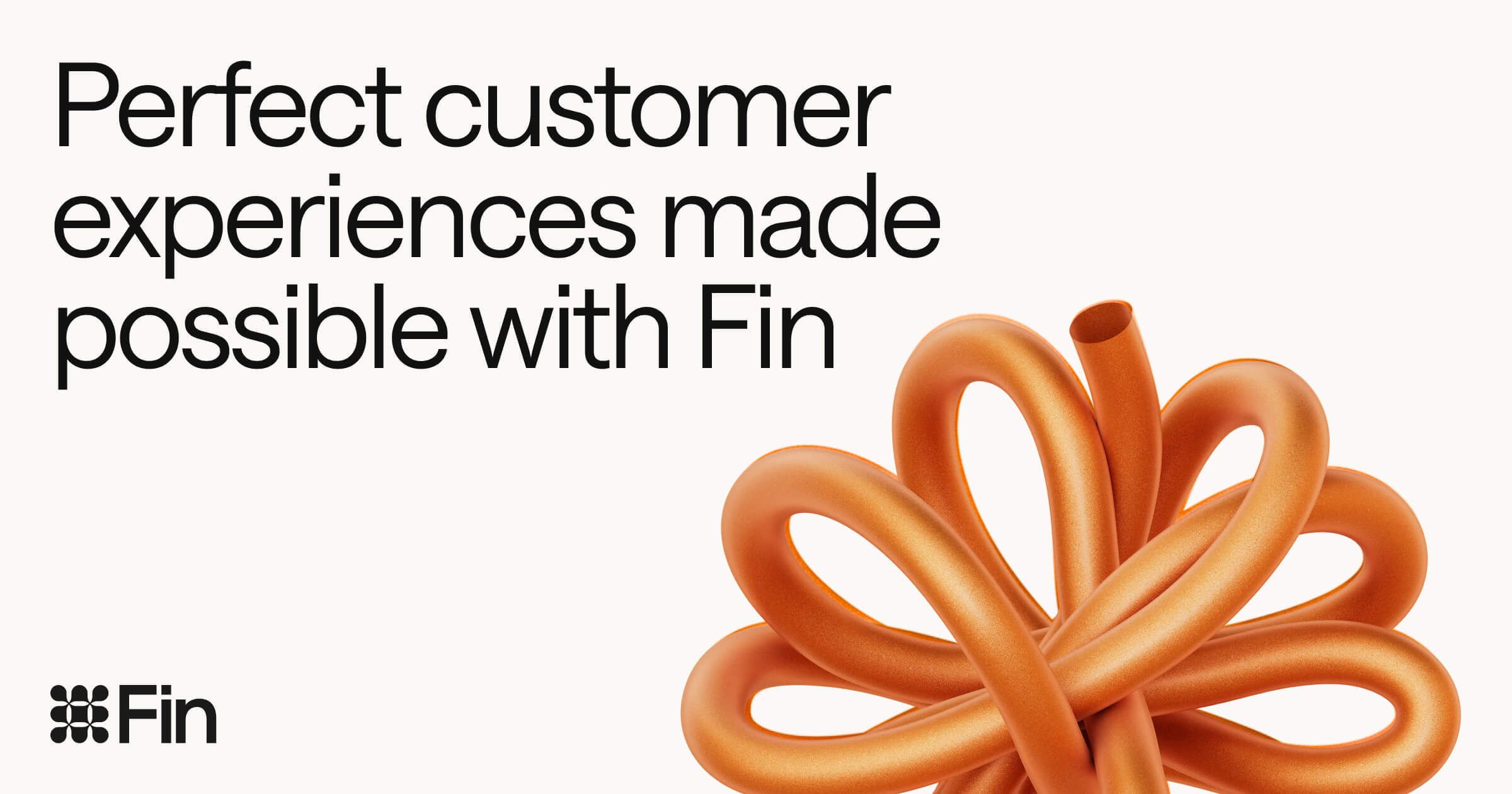 Fin 官方产品品牌图