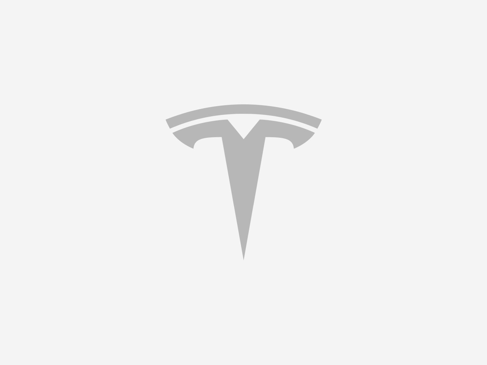 Tesla官方灰色T标识